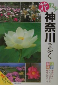 花散歩神奈川を歩く