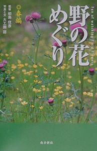 野の花めぐり　春編