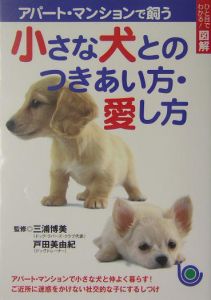 アパート・マンションで飼う小さな犬とのつきあい方・愛し方