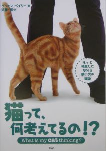 猫って、何考えてるの!?