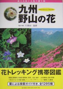 九州・野山の花