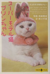 スーパーモデル猫プリンちゃん