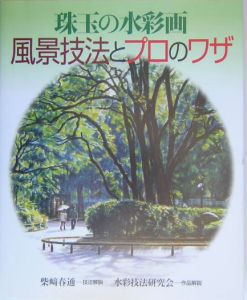 珠玉の水彩画 風景技法とプロのワザ 珠玉の水彩画風景技法とプロのワザ/柴崎春通 - 販売書籍