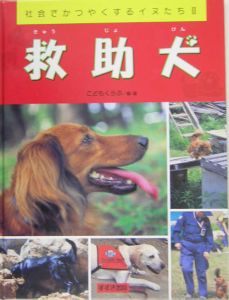 救助犬