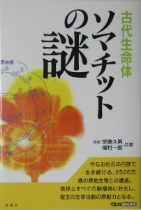 闇の陰謀対談 ベンジャミン フルフォード リチャード コシミズ 世界支配者たちとの壮絶なる戦い ベンジャミン フルフォードの小説 Tsutaya ツタヤ