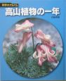 高山植物の一年