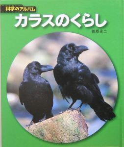 カラスのくらし 菅原光二 本 漫画やdvd Cd ゲーム アニメをtポイントで通販 Tsutaya オンラインショッピング