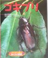 虫のくらし写真館　ゴキブリ(23)