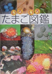 いろいろたまご図鑑
