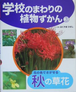 学校のまわりの植物ずかん 花の色でさがせる秋の草花 3 おくやまひさし 本 漫画やdvd Cd ゲーム アニメをtポイントで通販 Tsutaya オンラインショッピング