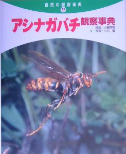 アシナガバチ観察事典/小田英智 - 販売書籍｜TSUTAYA レンタル・販売