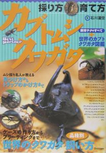 カブトムシ・クワガタ採り方・育て方
