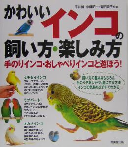 かわいいインコの飼い方・楽しみ方