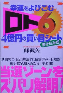 幸運をよびこむ「ロト６」４億円の買い目シート