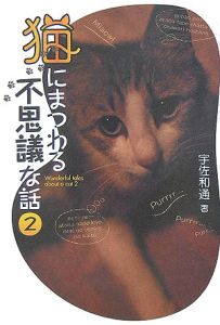 猫にまつわる不思議な話