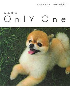 らんまるｏｎｌｙ　ｏｎｅ