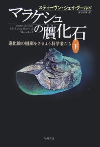 進化理論の構造（2）/スティーヴン・ジェイ・グールド - 販売