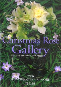 Ｃｈｒｉｓｔｍａｓ　ｒｏｓｅ　ｇａｌｌｅｒｙ