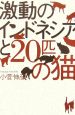 激動のインドネシアと20匹の猫