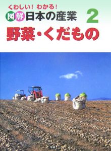 くわしい！わかる！図解日本の産業　野菜・くだもの