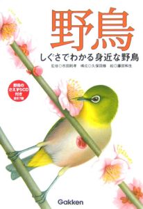 野鳥