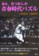 あぁ、なつかしの青春時代パズル