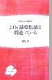 CO2温暖化説は間違っている