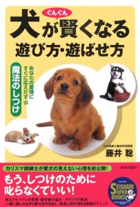 犬がぐんぐん賢くなる遊び方・遊ばせ方