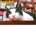 hatch！！　はっちゃん日記(2)