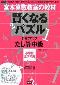 賢くなるパズル　計算ブロック　たし算中級