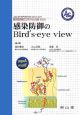 感染防御のBird’s－eyeviow