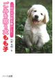 ごみを拾う犬もも子