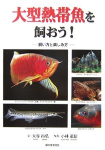 大型熱帯魚を飼おう！飼い方と楽しみ方