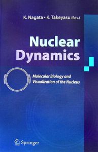 Nuclear dynamics