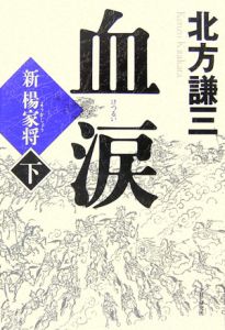 血涙 新楊家将(下)