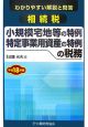 相続税　小規模宅地等の特例　特定事業用資産の特例の税務　平成18年