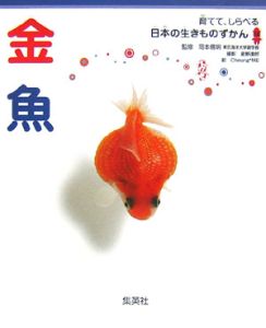 育てて、しらべる日本の生きものずかん　金魚