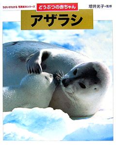 どうぶつの赤ちゃん　アザラシ