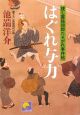 はぐれ与力　捜し屋孫四郎たそがれ事件帖