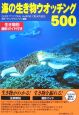 海の生き物ウオッチング500