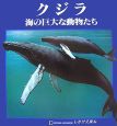 クジラ　海の巨大な動物たち