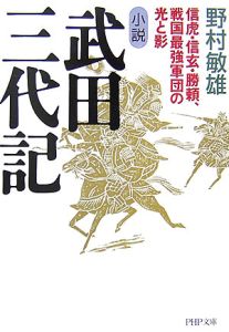 小説 武田三代記