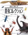 集めて楽しむ　昆虫コレクション