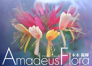 本木陽輝『Amadeus Flora』