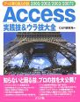 Access実践技＆ウラ技大全　2000／2002／2003／2007対応