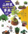 山野草の育て方＆楽しみ方事典＜決定版＞