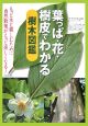 葉っぱ・花・樹皮でわかる樹木図鑑