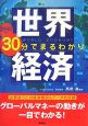 世界経済30分でまるわかり　2008