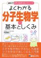 図解入門・よくわかる分子生物学の基本としくみ