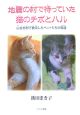 地震の村で待っていた猫のチボとハル　山古志村で被災したペットたちの物語